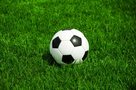 体育媒体工作者